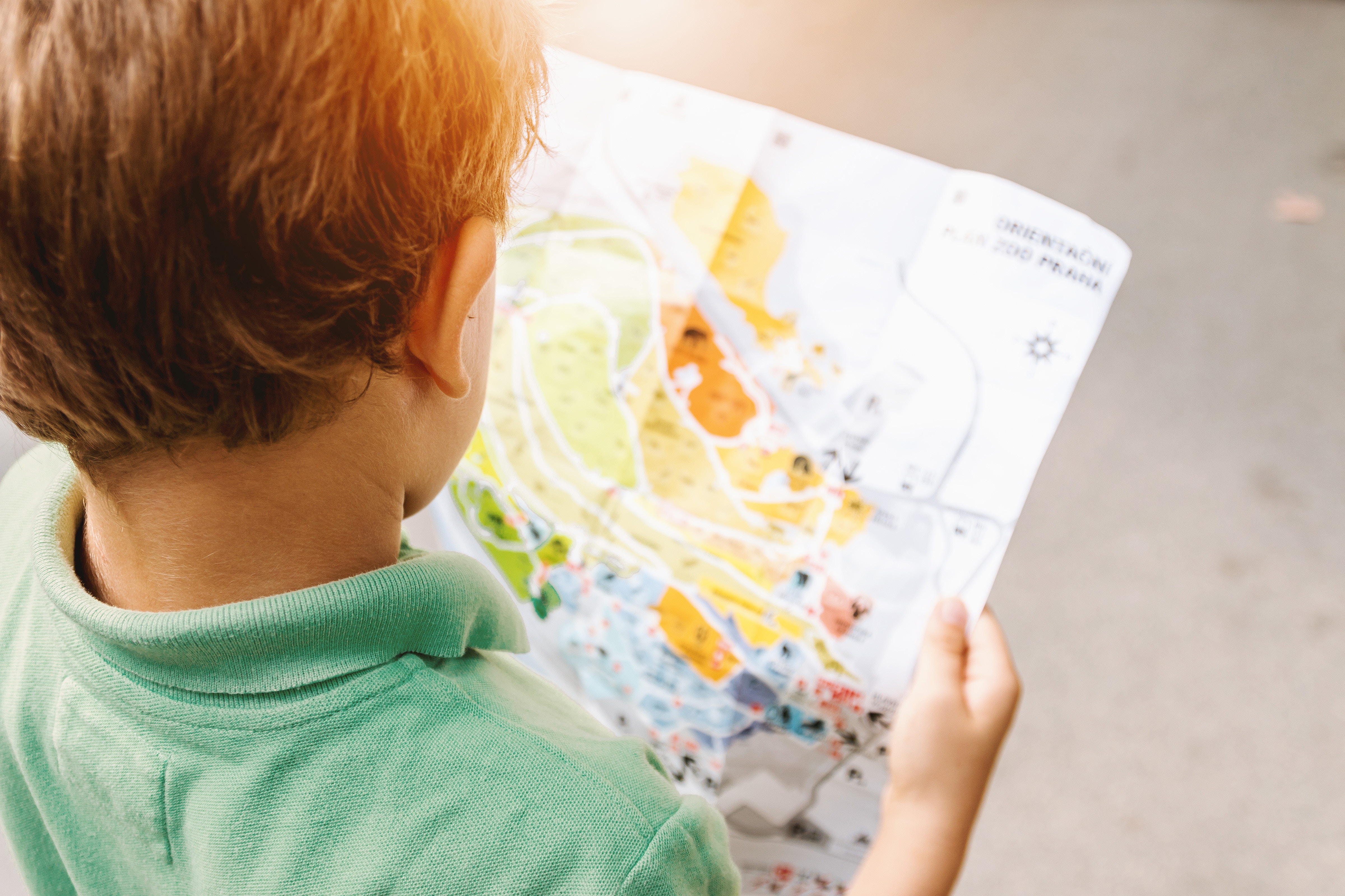 Boy studying zoo map