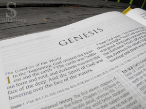 A Bump in the Page - Do you believe Genesis 1:1? - Post by S. J. Little