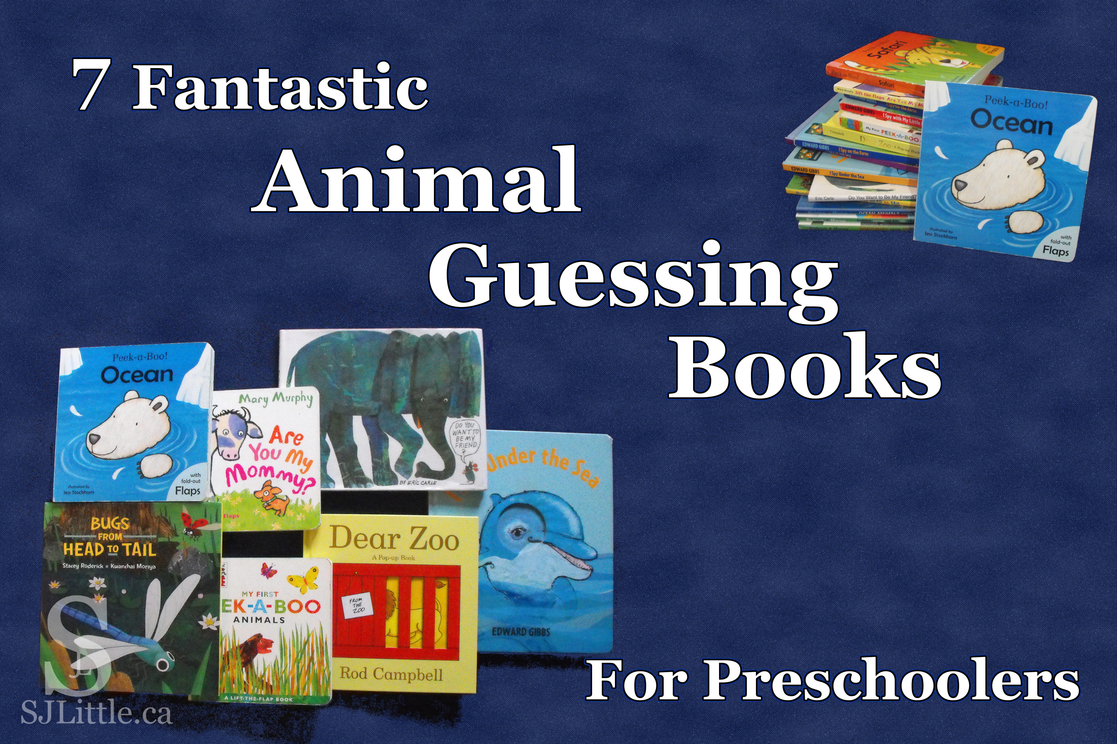 S. J. Little reviews 7 animal preschool books that engage children through guessing.