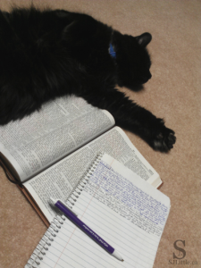 My cat trying to help me study the Bible. - S. J. Little