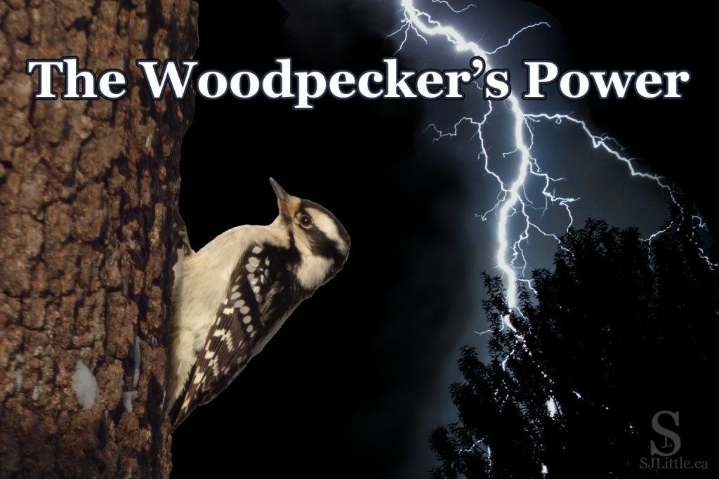 The Woodpecker’s Power