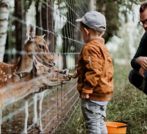 9 Ways to Volunteer for Your Child's Preschool - S. J. Little