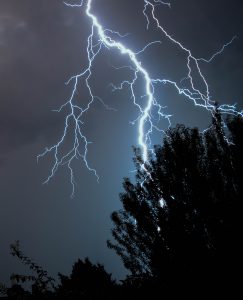 Did the tree split because of the woodpecker or the lightning? - S. J. Little