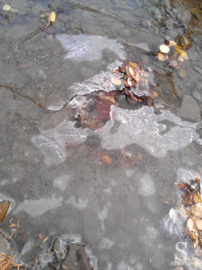 Cracked ice on a river - S. J. Little