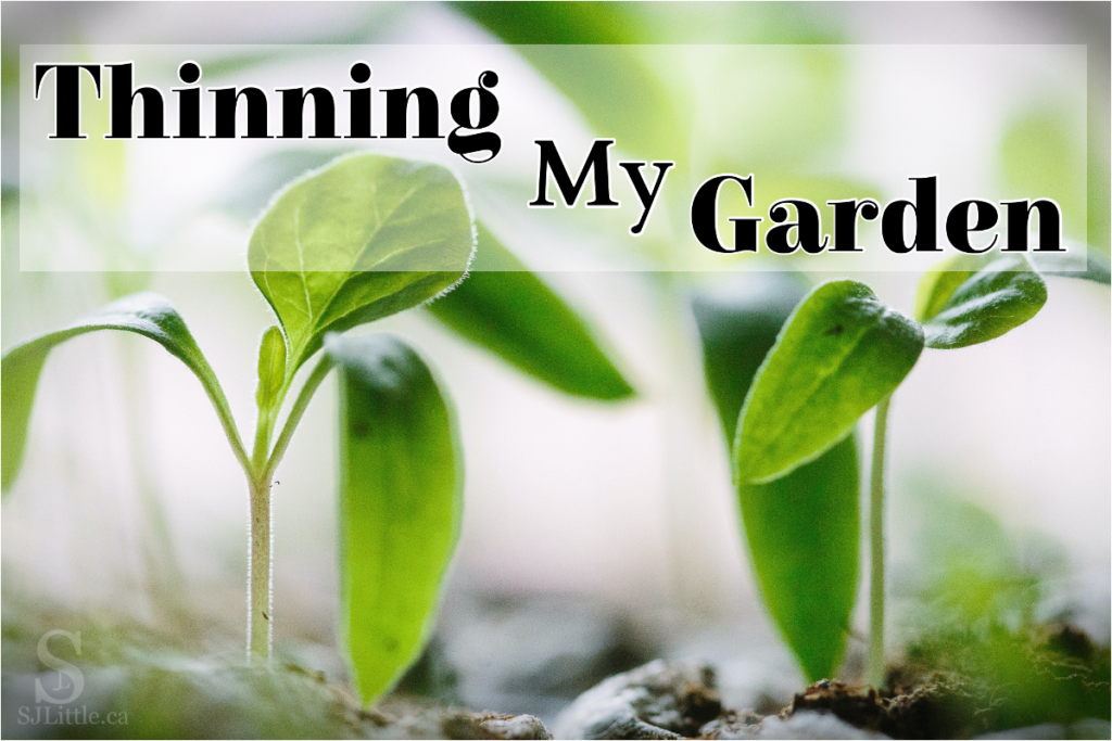 Thinning My Garden