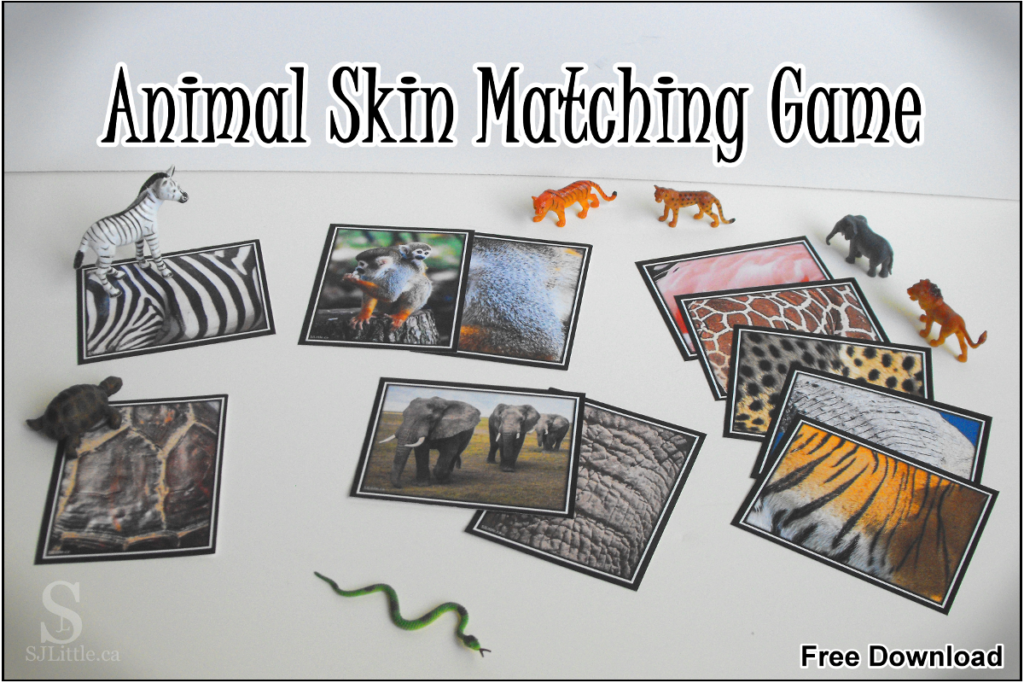 Zoo Animal Skin Matching Game