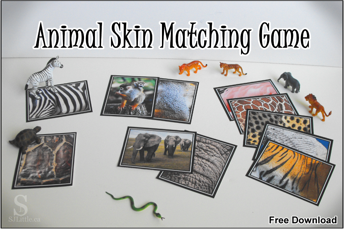 Picture of Animal Skin Matching Game and toy animals