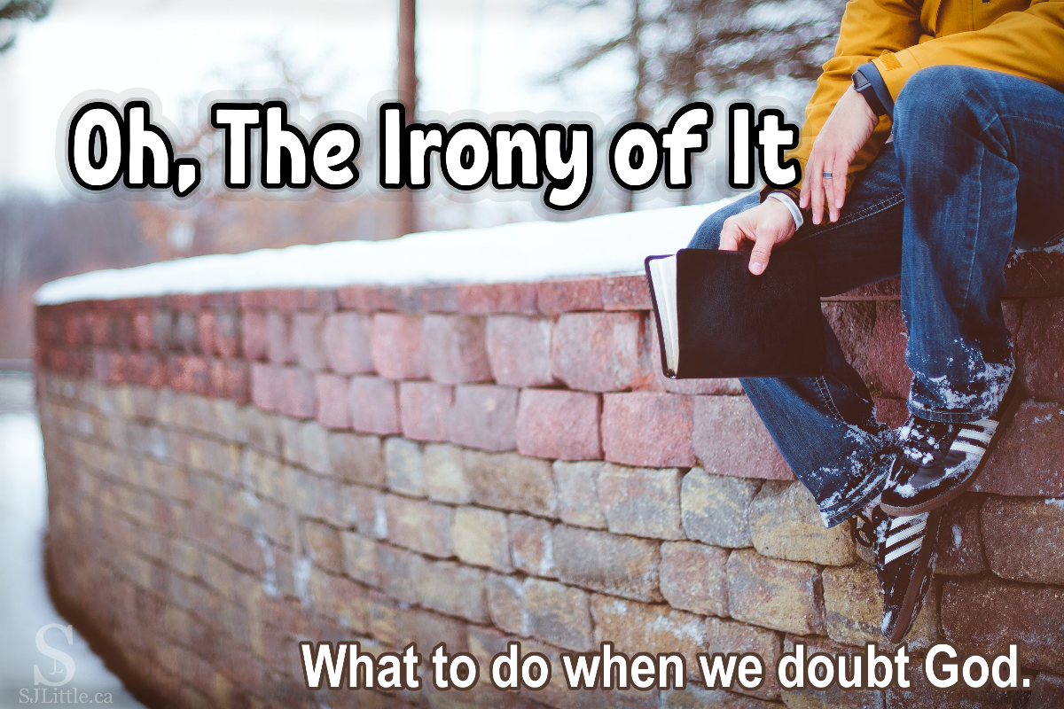 Person sitting on snowy brick wall holding Bible behind title: "Oh The Irony of It"