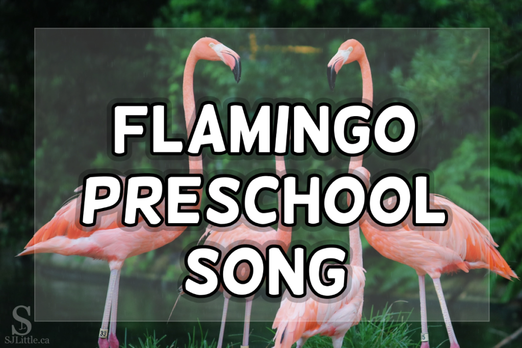 Flamingo Song For Preschoolers