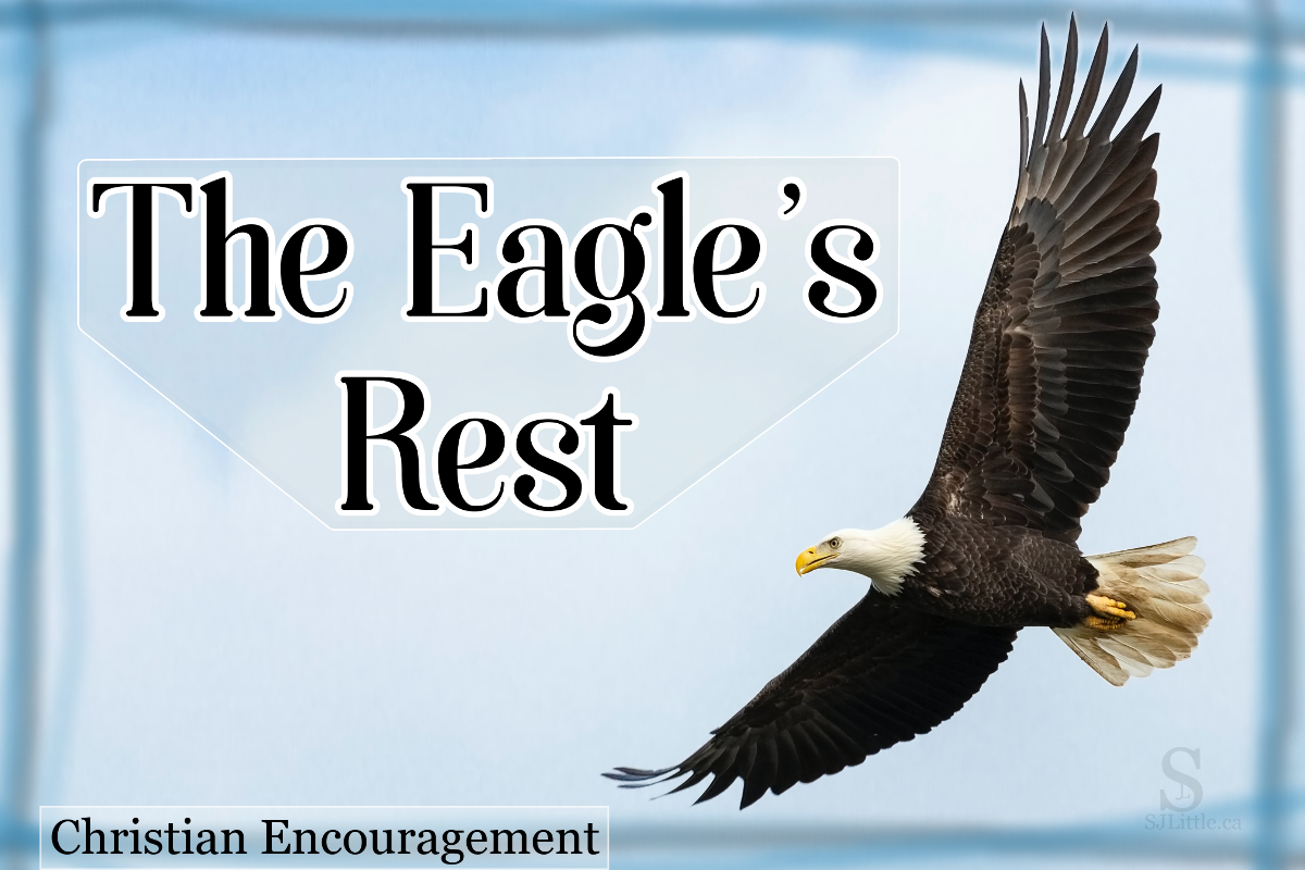 An eagle soaring behind title: The Eagle's Rest