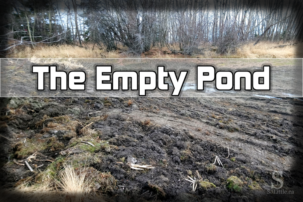 The Empty Pond – Increasing Capacity for God