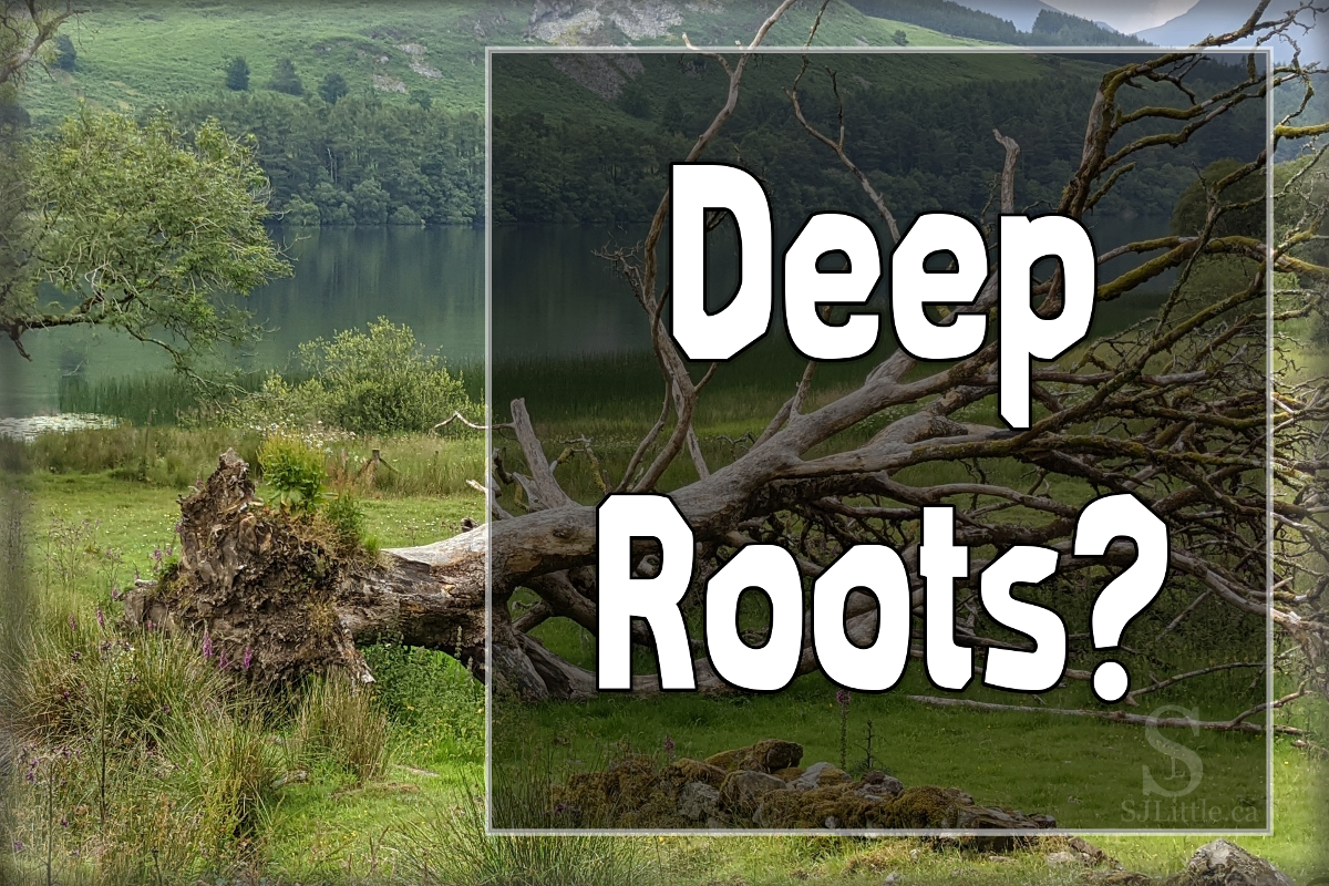 An uprooted tree behind the title: Deep Roots?