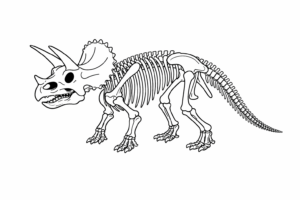 Free Triceratops Colouring Page